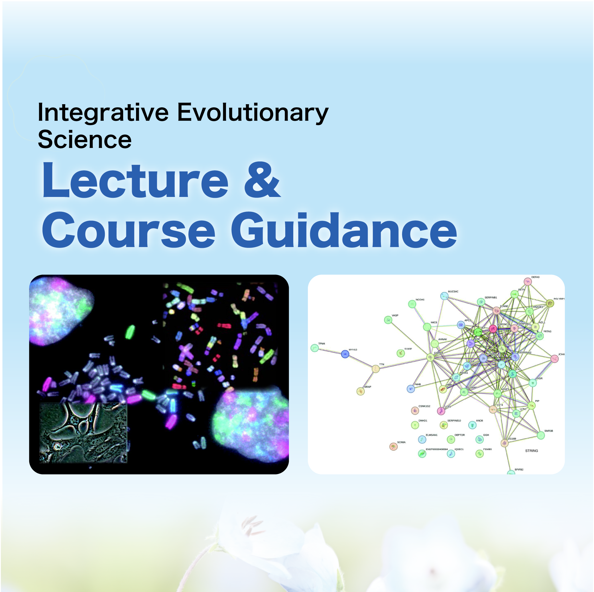 Lecture & Course guidance