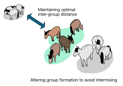 Maeda_Kutsukake-2025PR4