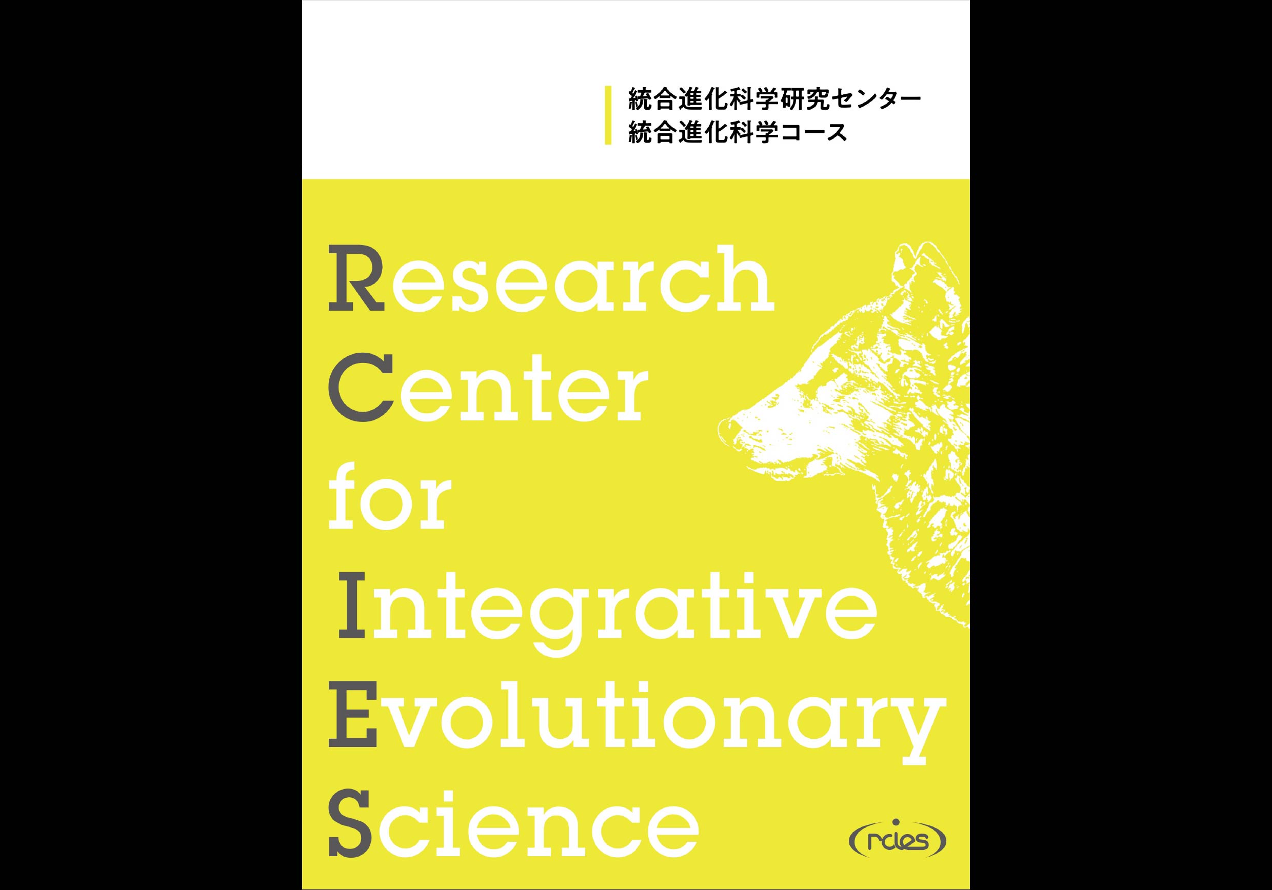 RCIES brochure